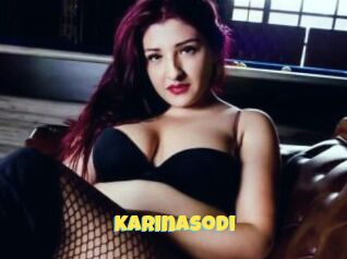 Karinasodi
