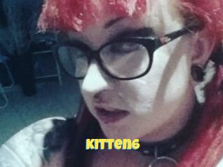 Kitten6