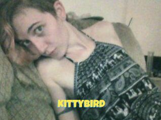 KittyBird