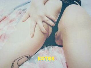 Kotek