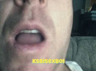 Ksbisexboi