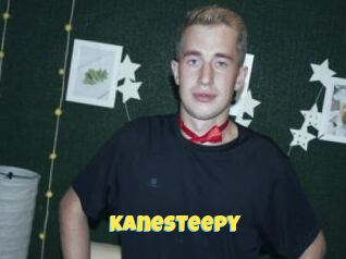 Kanesteepy