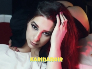 Karinanoir