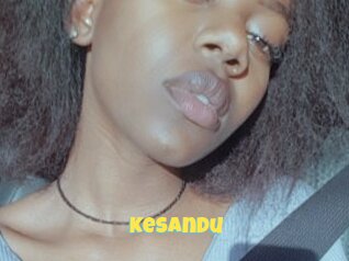 Kesandu