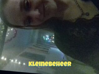 Kleinebeheer