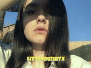 LittleBunnyX
