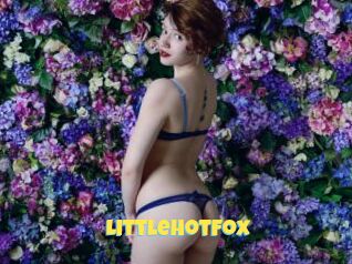 LittleHotFox