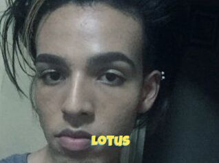 Lotus