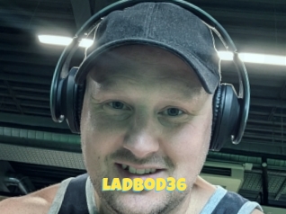 Ladbod36