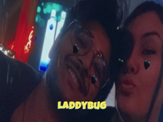 Laddybug