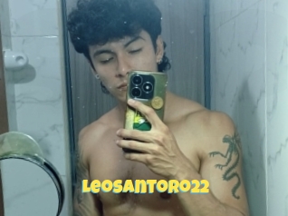 Leosantoro22
