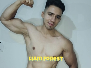Liam_forest