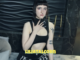 Liliatalcorn