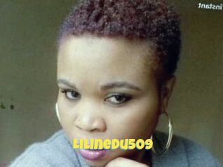 Lilinedu509