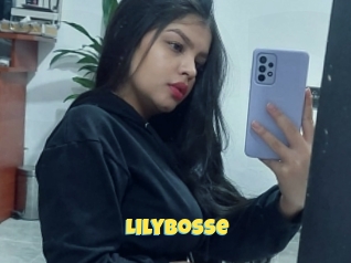 Lilybosse