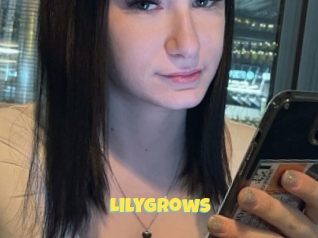 Lilygrows