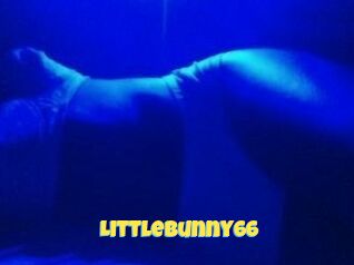 Littlebunny66