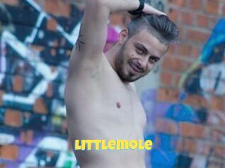 Littlemole