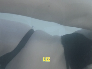 Liz