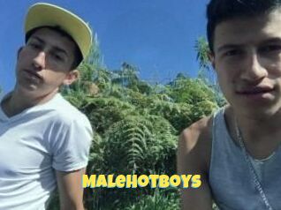 Malehotboys