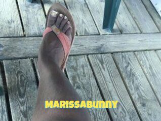 Marissabunny