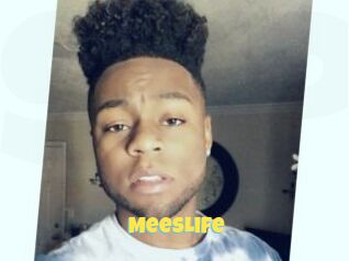 MeesLife