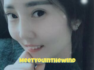 Meetyouinthewind