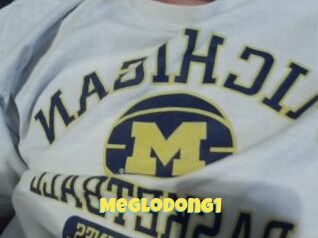 Meglodong1