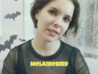MelanieBird