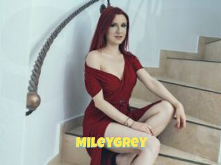 MileyGrey Sexe et Porno