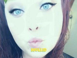 MolliD