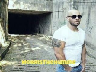 MorrisTheHumme