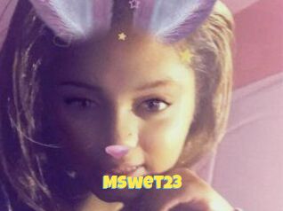 Mswet23