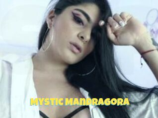 Mystic_Mandragora