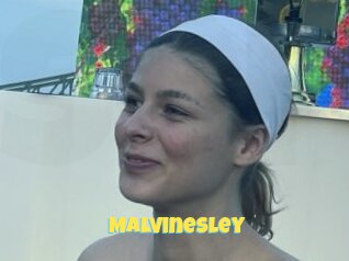 Malvinesley