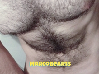 Marcobear18