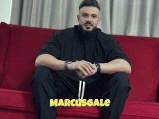 Marcusgale