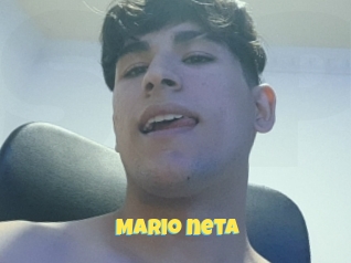 Mario_neta