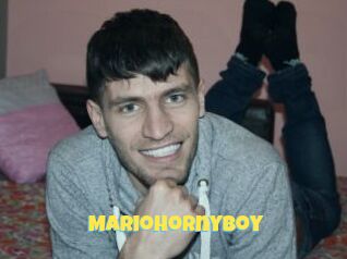 Mariohornyboy