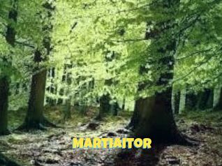 Martiaitor