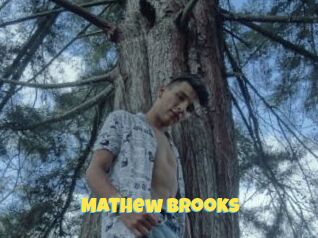 Mathew_brooks