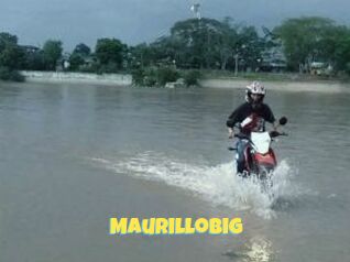 Maurillobig