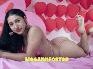 Megannfoster