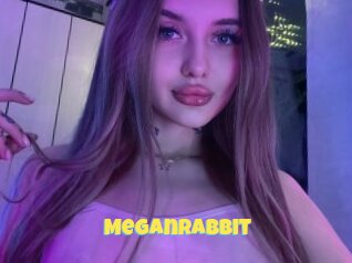 Meganrabbit