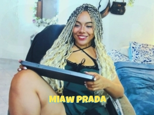 Miaw_prada