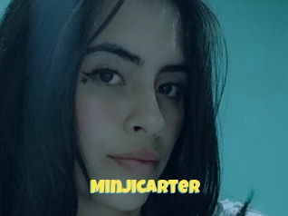 Minjicarter