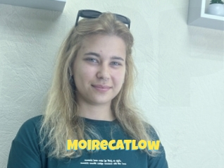 Moirecatlow