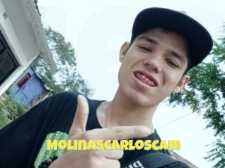 Molinascarloscam