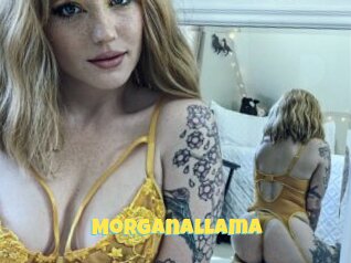 Morganallama