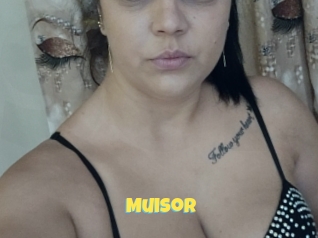 Muisor